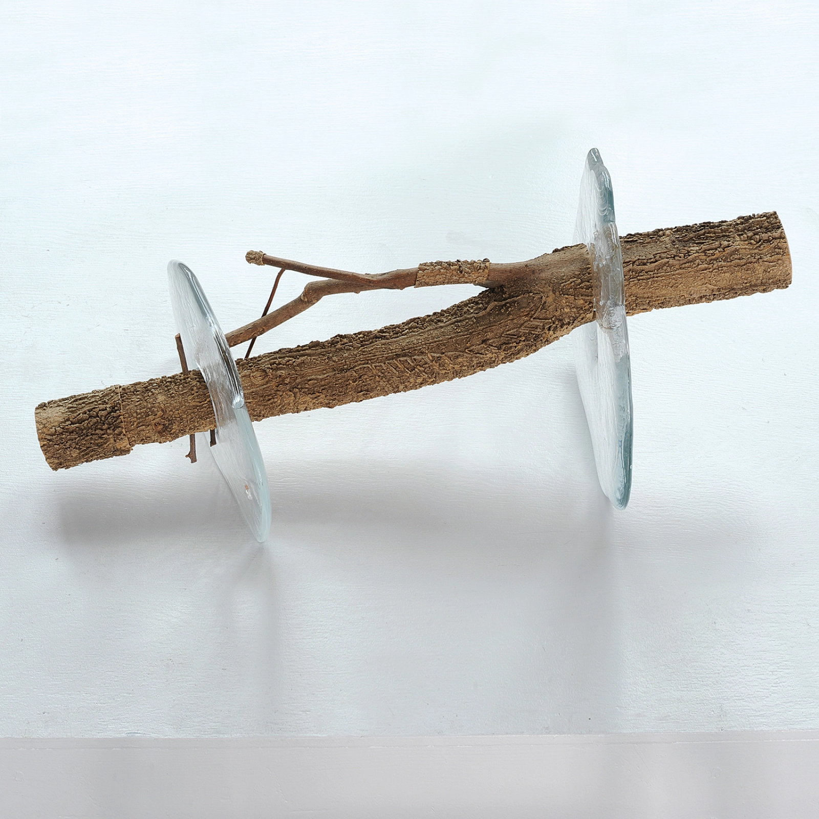 Hackberry Dendroglyph with Glass | browngrotta arts