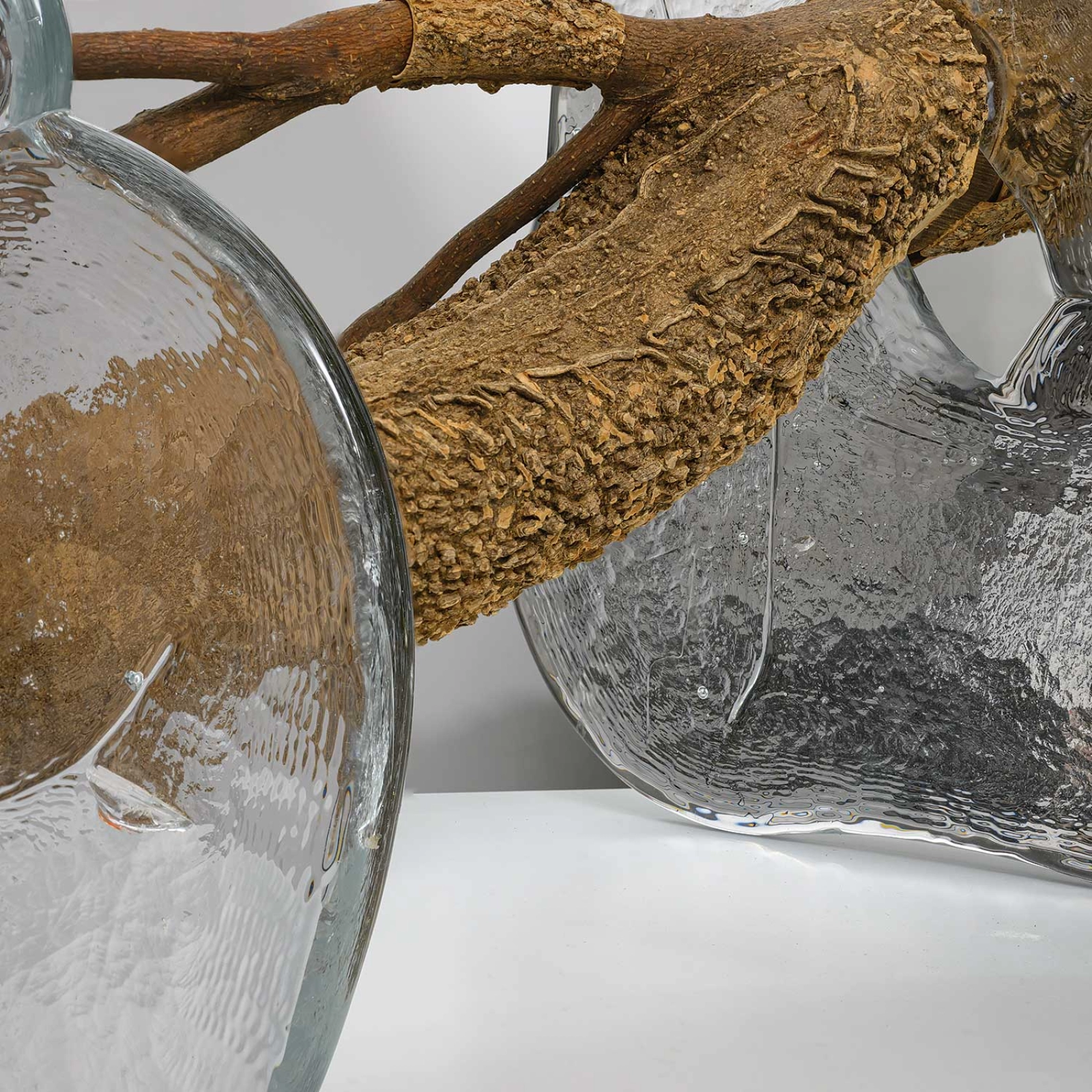 Hackberry Dendroglyph with Glass | browngrotta arts